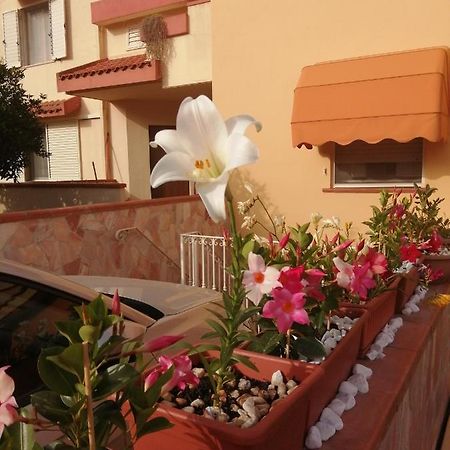 Hotel Domomea Quartu SantʼElena Zewnętrze zdjęcie